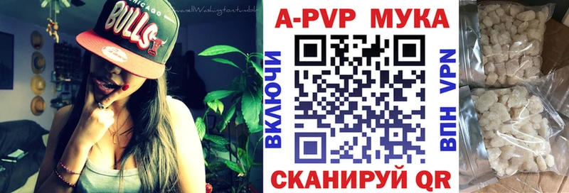 mega ТОР Звенигово A PVP крисы CK