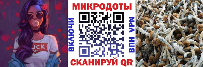 площадка как зайти  Звенигово  Галлюциногенные грибы мухоморы 